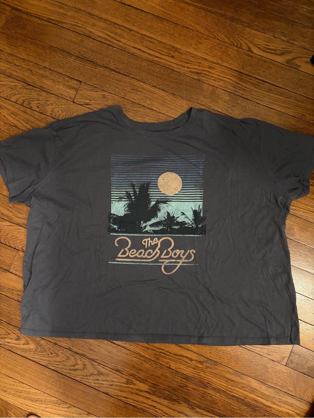The Beach Boys Official Band Tee Graphic T-Shirt 3X Charcoal Gray